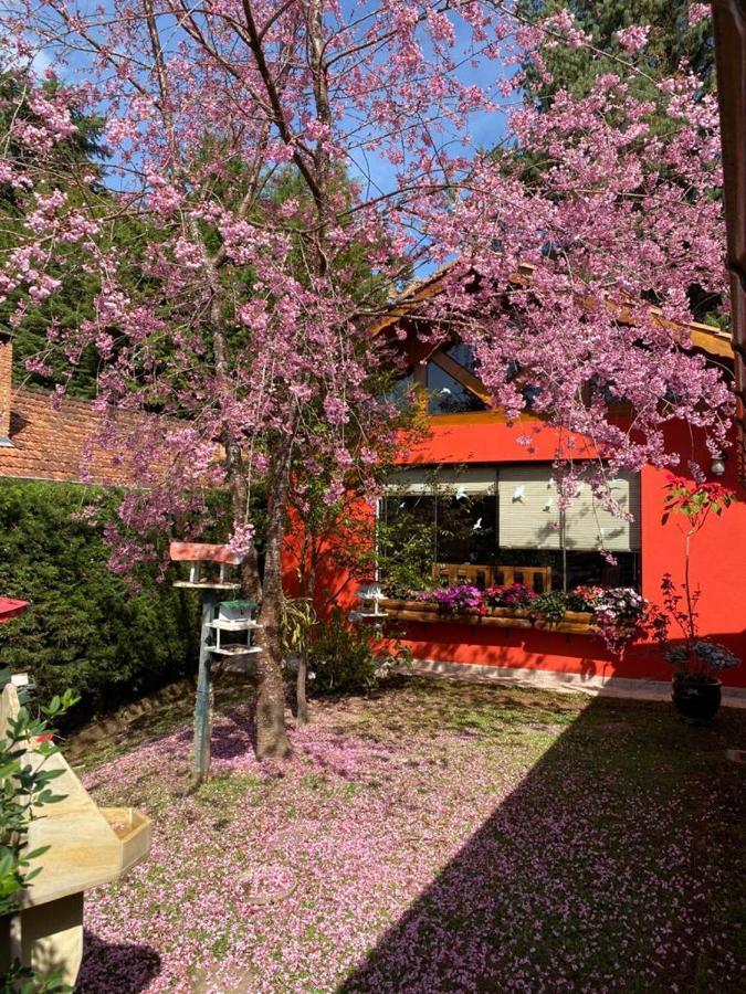Aconchegante Casa Em Monte Verde المظهر الخارجي الصورة